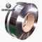 C7521 Nickel Silver Tape Germany Silver CW409J 0.05-2mmx250mm Max for Electronic Components