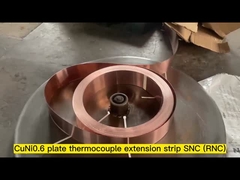S-/Rthermoelement-Erweiterungsstreifen SNC (RNC)